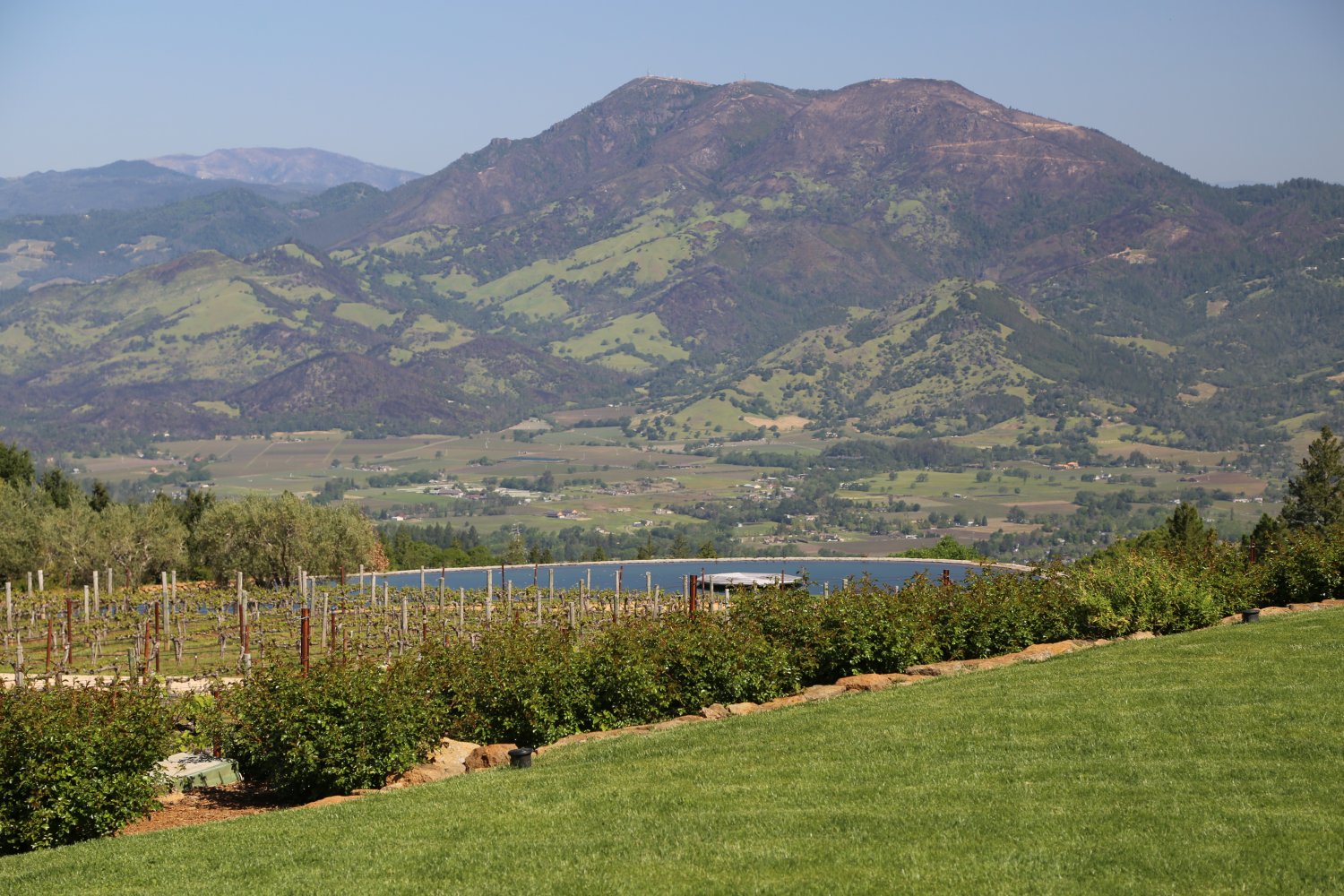 CONSTANT Diamond Mountain Vineyard The Napa Wine Project