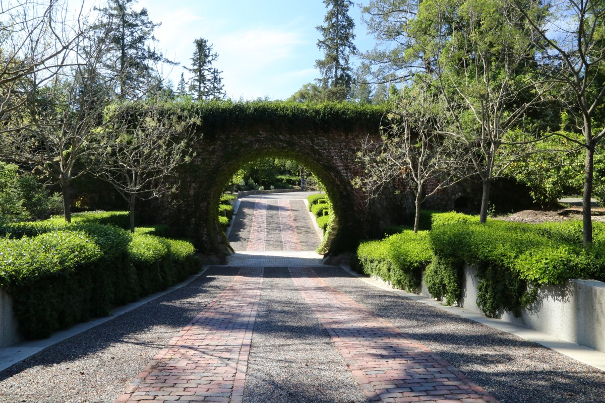 Edge Hill Wines The Napa Wine Project