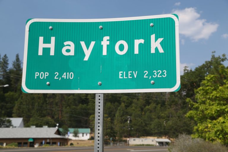 Hayfork Wine Company The Napa Wine Project