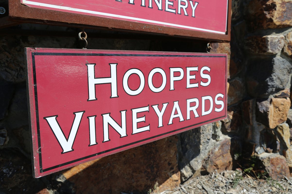 Hoopes Vineyard The Napa Wine Project