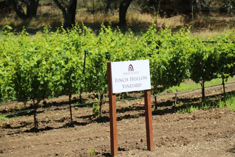 Jarvis Estate Winery The Napa Wine Project