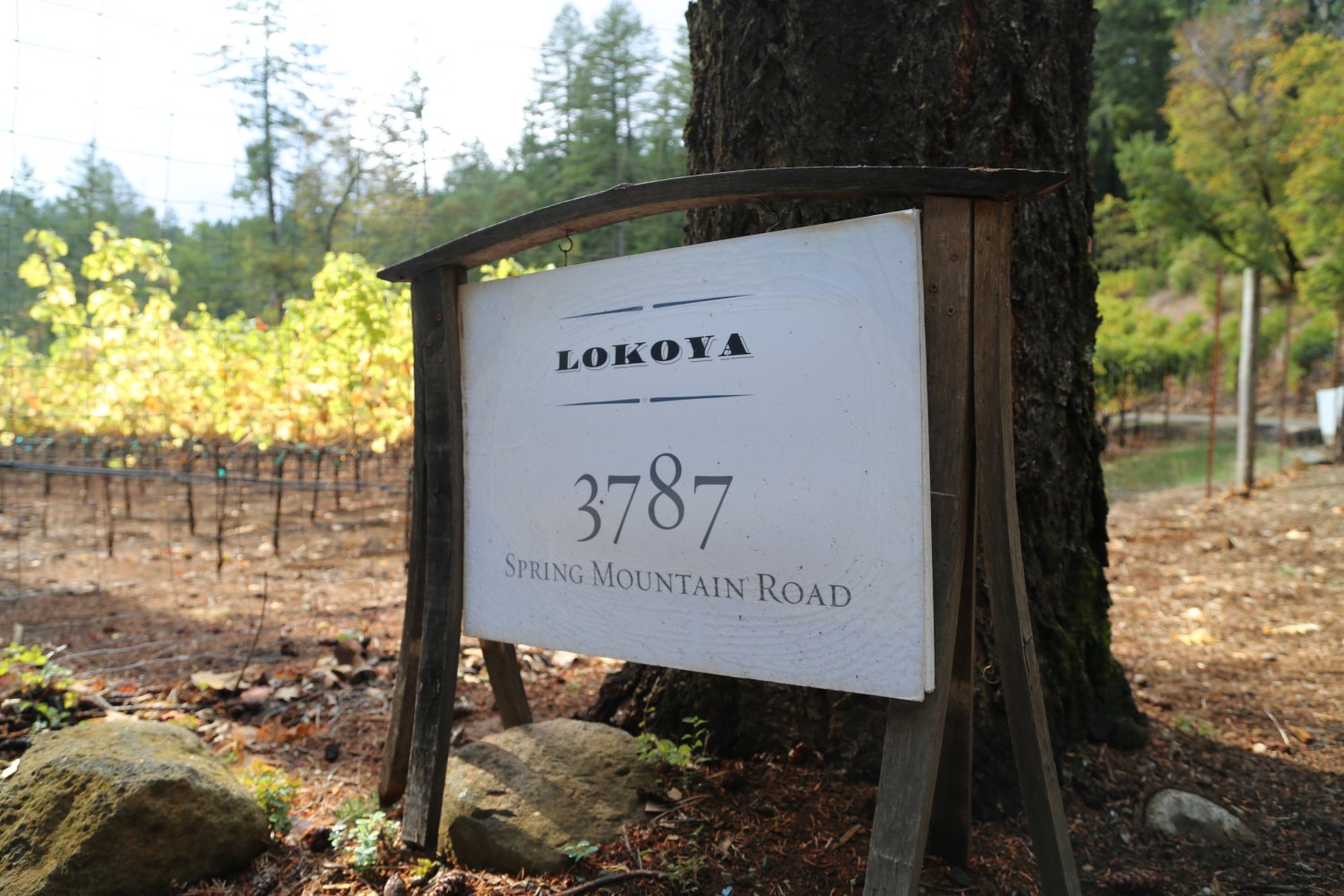 Lokoya Winery The Napa Wine Project