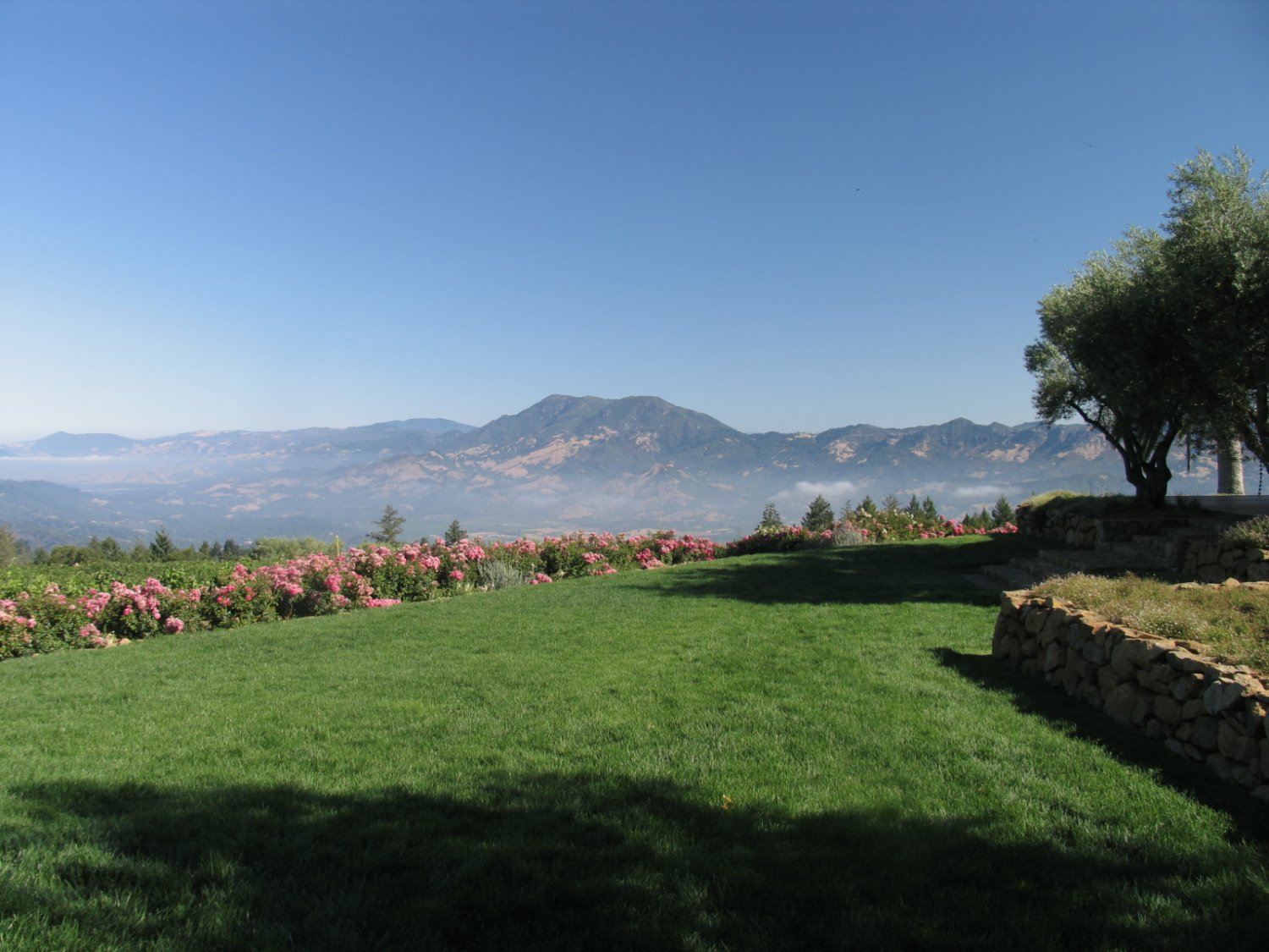 CONSTANT Diamond Mountain Vineyard The Napa Wine Project