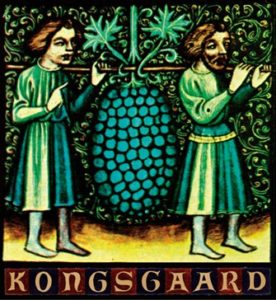 kongsgaard-wine
