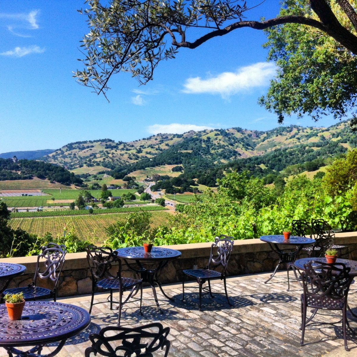 Silverado Vineyards The Napa Wine Project