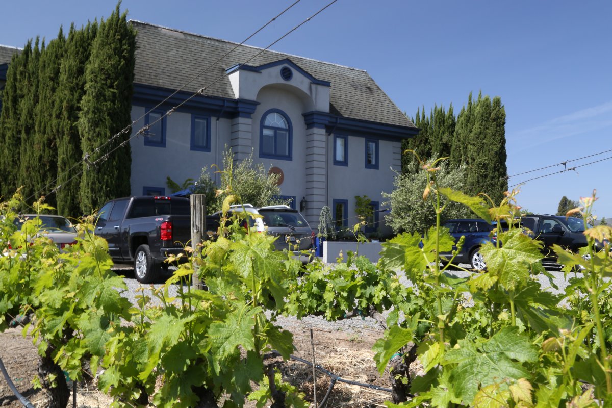 Lewis Cellars The Napa Wine Project