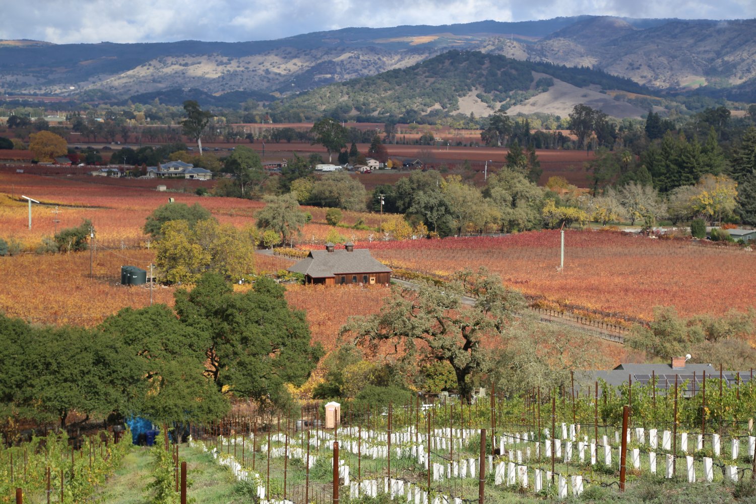 Hunter Glenn Estate The Napa Wine Project