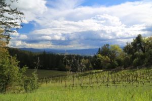 Cade-Winery-Napa-Valley (1)