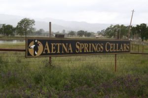Aetna-Springs-Vineyard