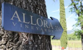 Allora Vineyards