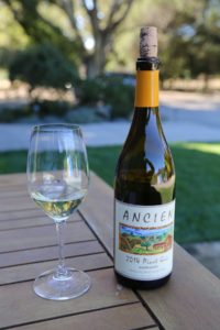 Ancien-Winery (3)
