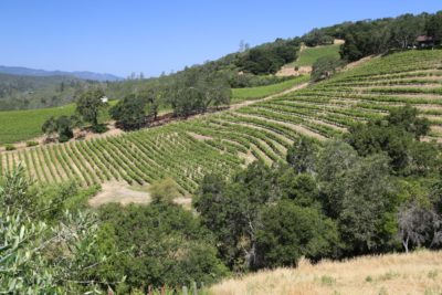 Aonair Winery and Caves