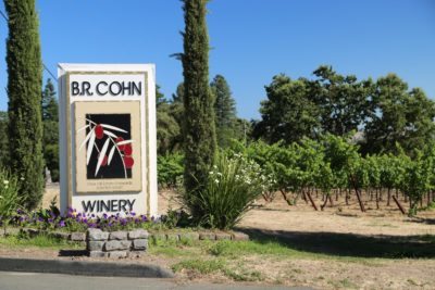 Clos Pegase - The Napa Wine Project