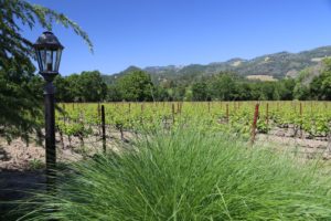 Benessere-Winery-Napa-Valley (6)