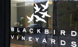Blackbird Vineyards
