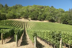 blankiet winery visit