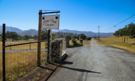 James Creek Vineyards