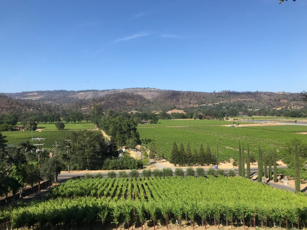 Bure Family Wines The Napa Wine Project