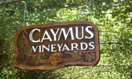 Caymus Vineyards