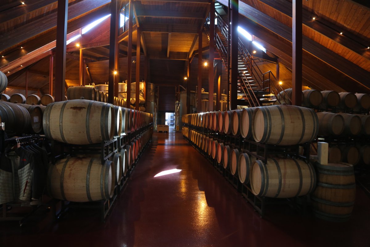 chappellet winery tours