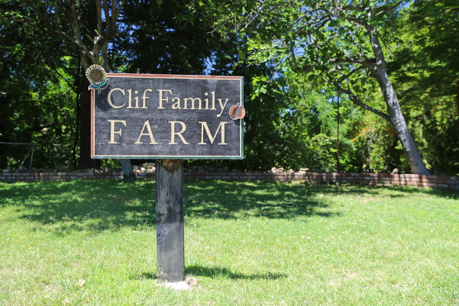 Clif Family Winery - The Napa Wine Project