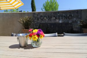 Cosentino-Winery-Napa-Valley (2)