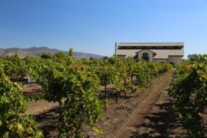 Del-Bondio-Winery-Napa (2)