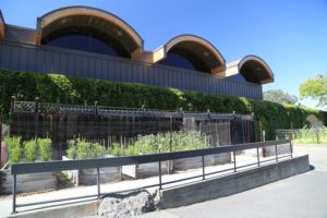 chandon winery tour