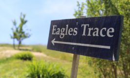 Eagles Trace Wine