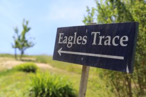 Eagles-Trace-Winery (3)