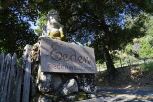 Eeden-Vineyards (2)