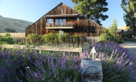 Elkhorn Peak Cellars