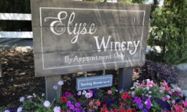 Elyse Winery