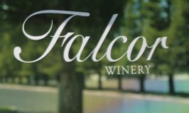 Falcor Wines