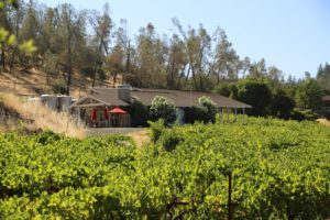 G-Cook-Winery