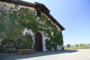 Grgich-Hills-Winery-Napa (14)