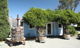 Elyse Winery