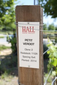 Hall-Winery-St-Helena (8)