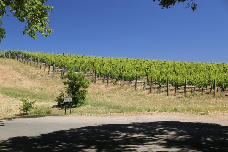Hendry Ranch Hendry Ranch Winery - The Napa Wine Project