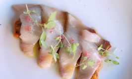 Thanks to Cellar Angels