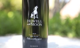 Howell at the Moon