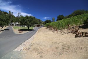 Ilsley-Vineyards (3)