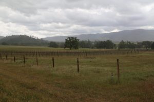 James-Creek-Vineyards (1)
