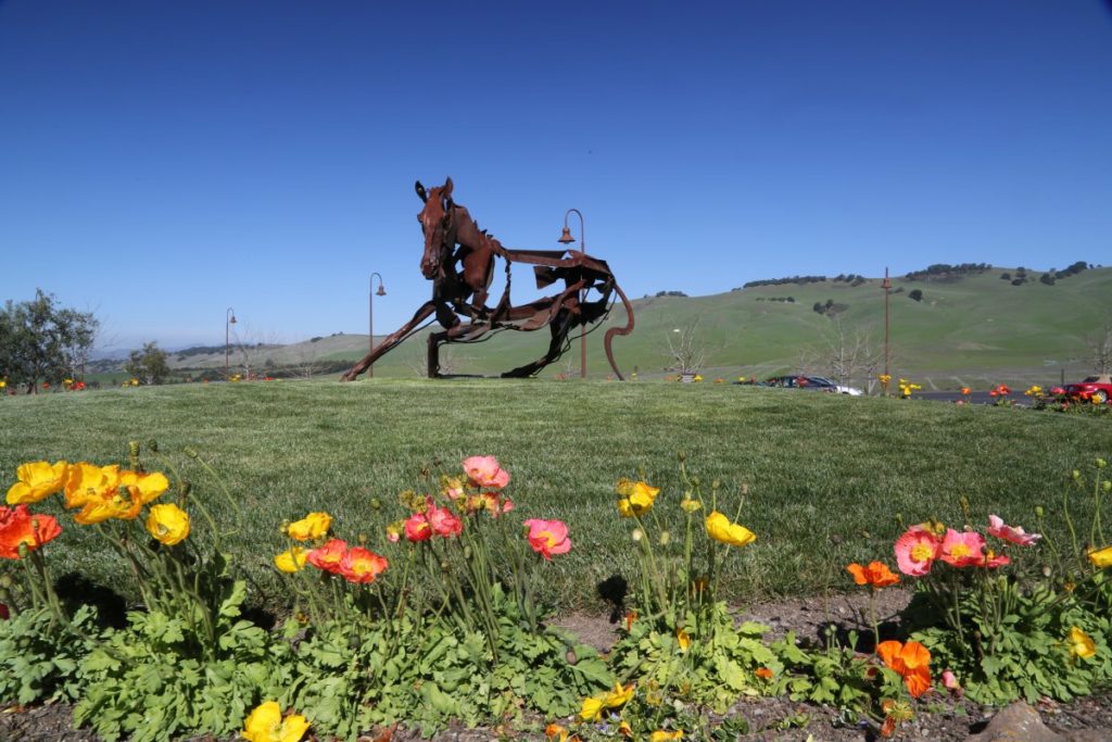 Bread & Butter Wines The Napa Wine Project