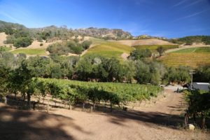 Jericho-Canyon-Vineyards (4)