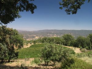 Jocelyn-Lonen-Winery-East-View