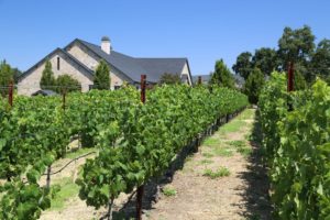 Kapscandy-Winery-Napa-Valley (1)