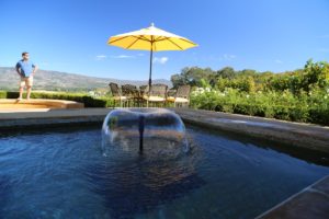 Keever-Vineyards (4)