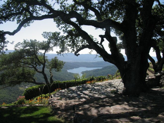 Kuleto-Estate-Winery-View