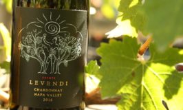 Levendi Winery